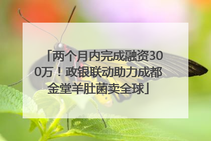 两个月内完成融资300万！政银联动助力成都金堂羊肚菌卖全球