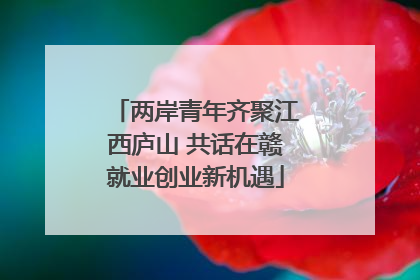 两岸青年齐聚江西庐山 共话在赣就业创业新机遇