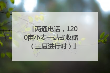 两通电话，1200亩小麦一站式收储（三夏进行时）