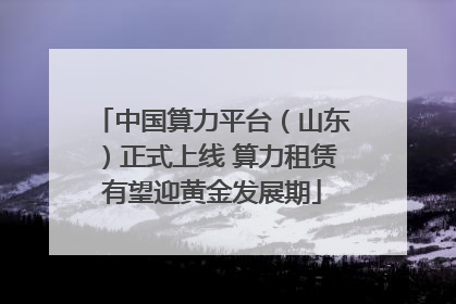 中国算力平台（山东）正式上线 算力租赁有望迎黄金发展期