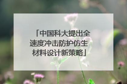中国科大提出全速度冲击防护仿生材料设计新策略