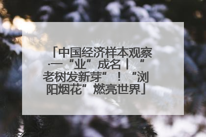 中国经济样本观察·一“业”成名丨“老树发新芽”！“浏阳烟花”燃亮世界