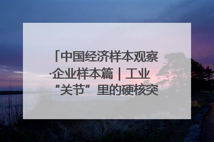 中国经济样本观察·企业样本篇｜工业“关节”里的硬核突围——老企业洛轴创新蝶变启示录