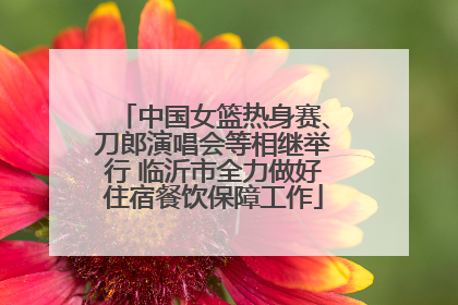 中国女篮热身赛、刀郎演唱会等相继举行 临沂市全力做好住宿餐饮保障工作