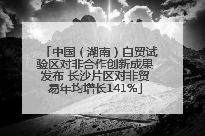 中国（湖南）自贸试验区对非合作创新成果发布 长沙片区对非贸易年均增长141%