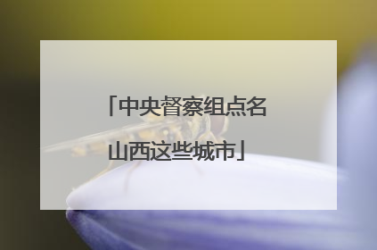 中央督察组点名山西这些城市