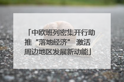 中欧班列密集开行助推“落地经济” 激活周边地区发展新动能