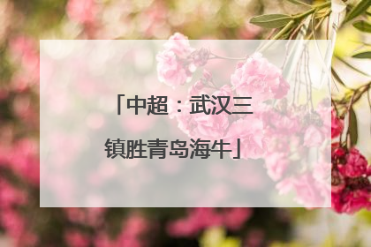 中超：武汉三镇胜青岛海牛