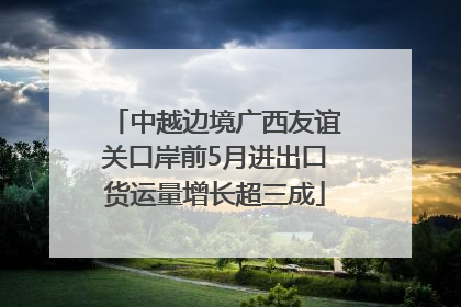 中越边境广西友谊关口岸前5月进出口货运量增长超三成