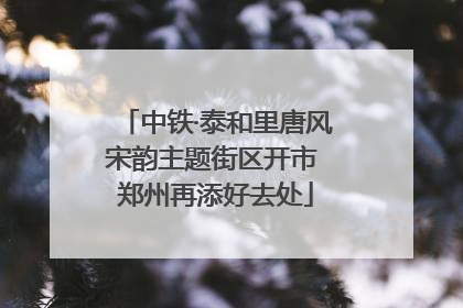 中铁·泰和里唐风宋韵主题街区开市 郑州再添好去处