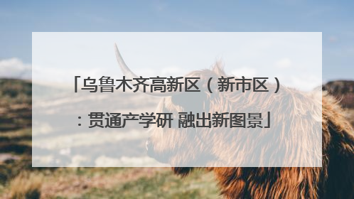 乌鲁木齐高新区（新市区）：贯通产学研 融出新图景