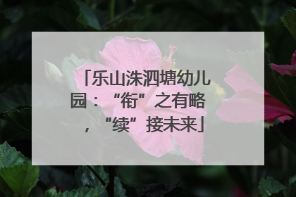 乐山洙泗塘幼儿园：“衔”之有略，“续”接未来