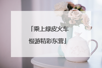 乘上绿皮火车 慢游精彩东营