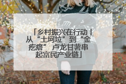 乡村振兴在行动丨从“土坷垃”到“金疙瘩” 卢龙甘薯串起富民产业链