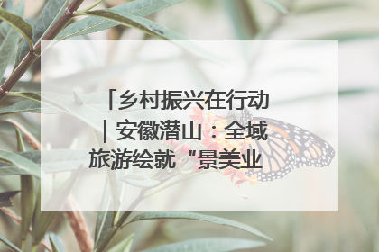 乡村振兴在行动｜安徽潜山：全域旅游绘就“景美业兴民富”新画卷