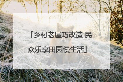 乡村老屋巧改造 民众乐享田园慢生活
