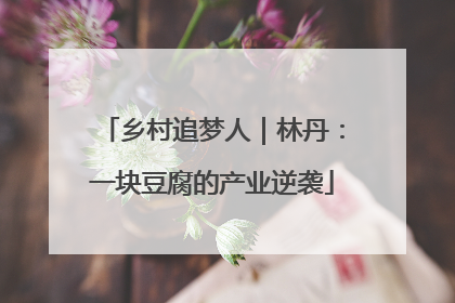 乡村追梦人｜林丹：一块豆腐的产业逆袭