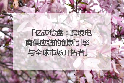 亿迈货盘：跨境电商供应链的创新引擎与全球市场开拓者