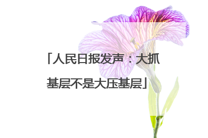 人民日报发声：大抓基层不是大压基层