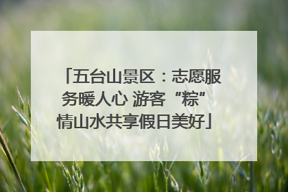 五台山景区：志愿服务暖人心 游客“粽”情山水共享假日美好