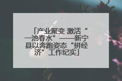 产业聚变 激活“一池春水”——新宁县以奔跑姿态“拼经济”工作纪实