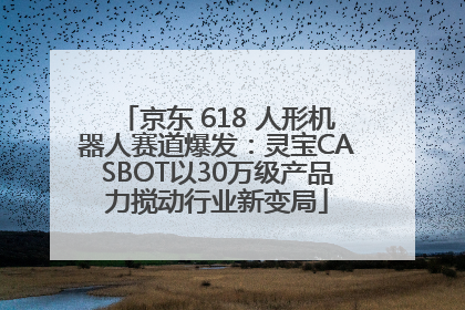京东 618 人形机器人赛道爆发：灵宝CASBOT以30万级产品力搅动行业新变局