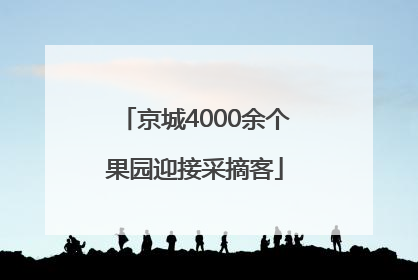 京城4000余个果园迎接采摘客
