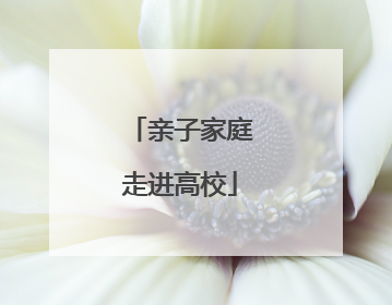 亲子家庭走进高校