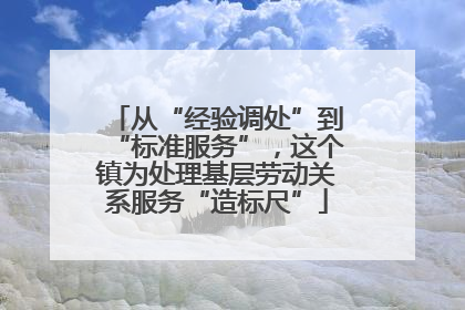从“经验调处”到“标准服务”，这个镇为处理基层劳动关系服务“造标尺”