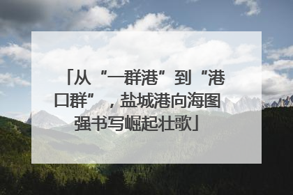 从“一群港”到“港口群”，盐城港向海图强书写崛起壮歌