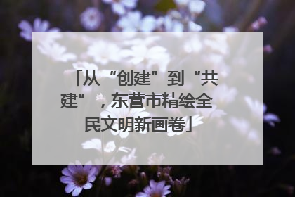 从“创建”到“共建”，东营市精绘全民文明新画卷