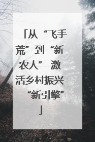 从“飞手荒”到“新农人” 激活乡村振兴“新引擎”