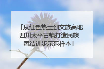 从红色热土到文旅高地 四川太平古镇打造民族团结进步示范样本