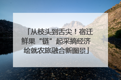 从枝头到舌尖！宿迁鲜果“链”起采摘经济绘就农旅融合新图景