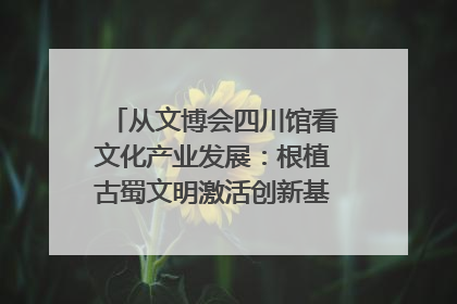 从文博会四川馆看文化产业发展：根植古蜀文明激活创新基因｜文博向“新”