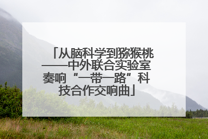 从脑科学到猕猴桃——中外联合实验室奏响“一带一路”科技合作交响曲