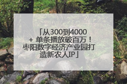 从300到4000+ 单条播放破百万！枣阳数字经济产业园打造新农人IP