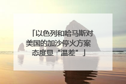 以色列和哈马斯对美国的加沙停火方案态度显“温差”