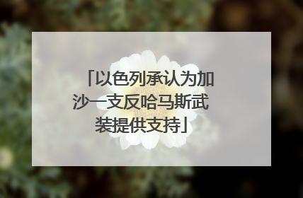 以色列承认为加沙一支反哈马斯武装提供支持