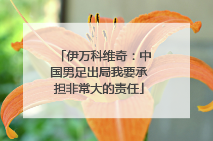 伊万科维奇：中国男足出局我要承担非常大的责任