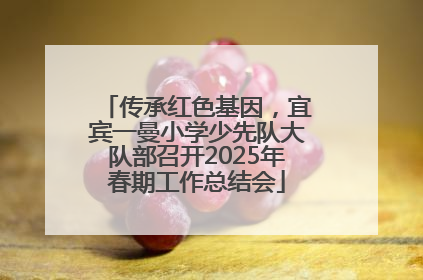 传承红色基因，宜宾一曼小学少先队大队部召开2025年春期工作总结会