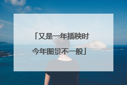 又是一年插秧时 今年图景不一般