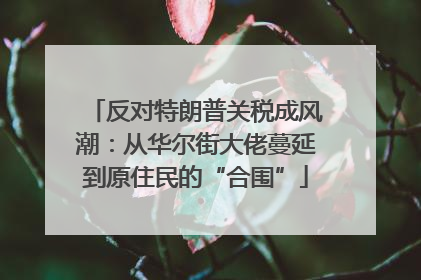 反对特朗普关税成风潮：从华尔街大佬蔓延到原住民的“合围”