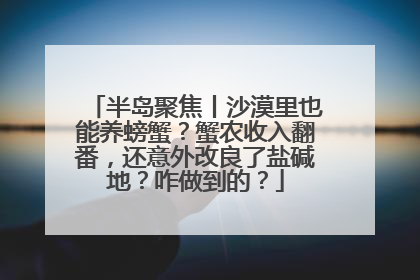 半岛聚焦丨沙漠里也能养螃蟹？蟹农收入翻番，还意外改良了盐碱地？咋做到的？