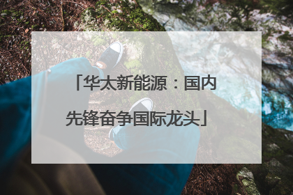 华太新能源：国内先锋奋争国际龙头