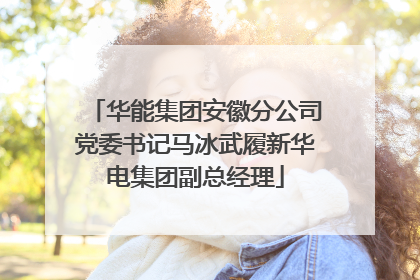 华能集团安徽分公司党委书记马冰武履新华电集团副总经理