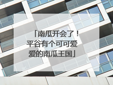 南瓜开会了！平谷有个可可爱爱的南瓜王国