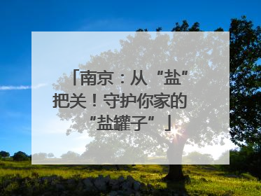 南京：从“盐”把关！守护你家的“盐罐子”