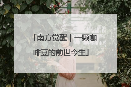 南方觉醒｜一颗咖啡豆的前世今生