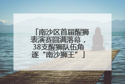 南沙区首届醒狮表演赛圆满落幕，38支醒狮队伍角逐“南沙狮王”